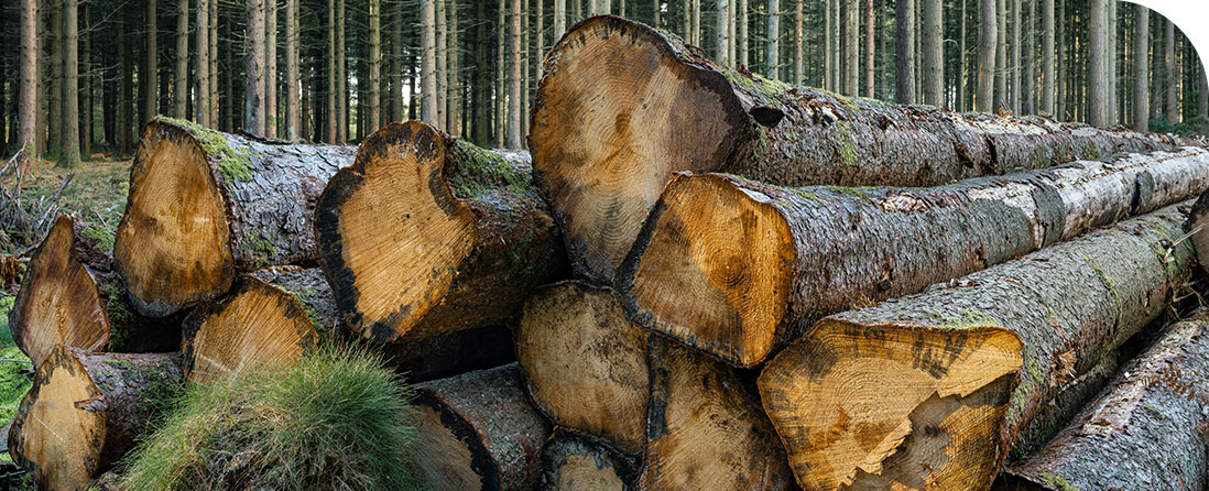 Bois de chauffage près de Nonancourt